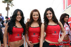 Tecate-Girls-2011-Baja-1000