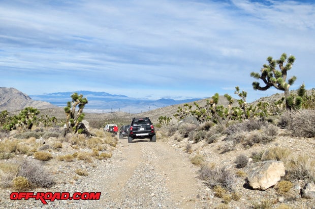 After a short visit at the Green Cabin, we kept pushing forward, heading west toward the Kingston Range. We encountered amazing desert scenery in this stretch that included Joshua Trees, creosote bushes and a variety of cacti.