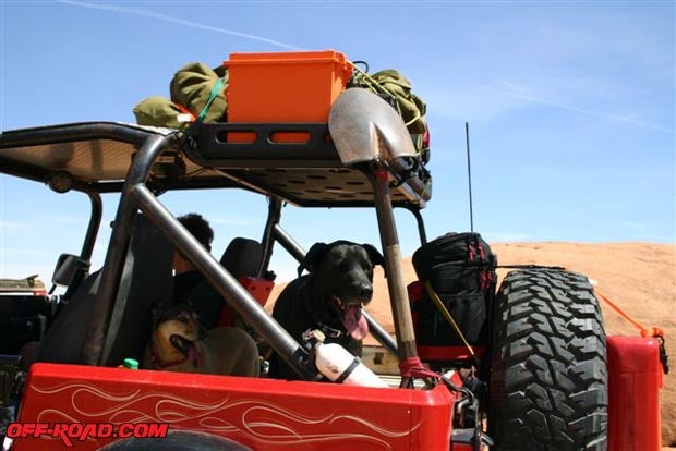 Providing shade for the dogs, security for gear, and a place to strap down a shovel, the Bestop rack proved to be a valuable trail tool.