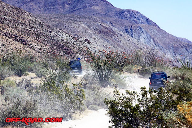 Land Cruisers carve through Coyote Canyon with mountains in the background covered with purple lupin.