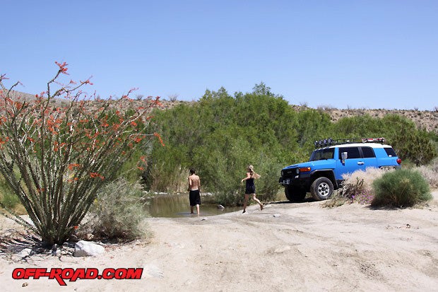 We visited Coyote Canyon on a warm April day. The ocotillo plants were in full bloom and off-roaders were enjoying the cool Coyote Creek.
