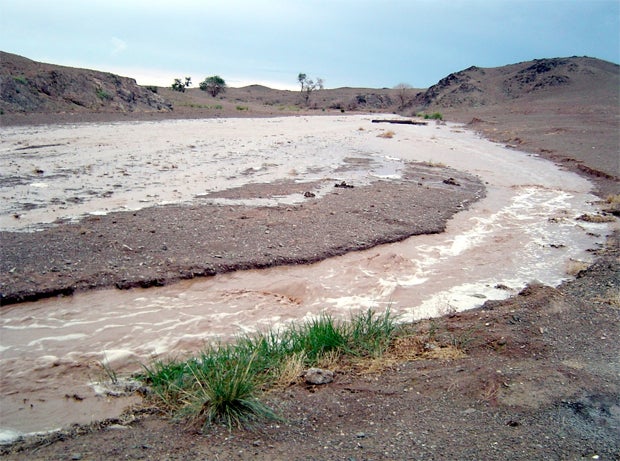 Desert Flash Flood