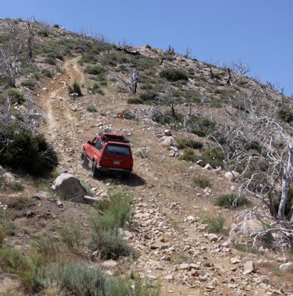 Feeling Lucky? Try Suicide Hill. Tom Severin made it with his Land Cruiser that is locked, geared and rolling on 37s.
