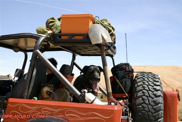 Don't leave your dogs at home - bring them along for the ride! Photo: Jim Brightly 