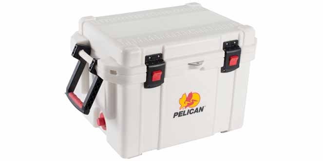 Pelican Elite Coolers Are Strong Enough to Stand Up to a Bear