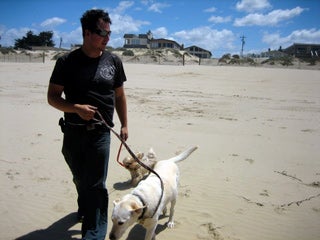 Dogs on leash are welcome at Oceano Dunes.