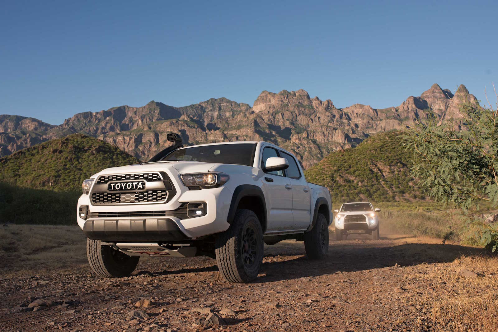 2019 Toyota Tacoma, Tundra and 4Runner TRD Pro Receive a ...