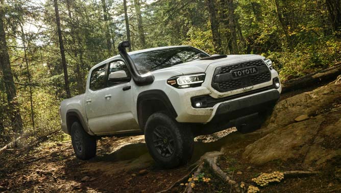 Which Toyota Tacoma Bed Rack Is The Best For You?