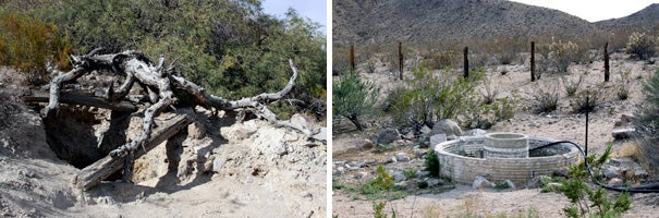 Since we were so close to Marl Springs, we made a stop. Marl Springs is claimed to be the most important water spring on the Mojave Road due to its strategic location (half-way between Colorado River and Camp Candy).